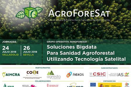 Participamos en el Grupo Operativo AgroForeSat